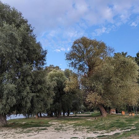 Palkovics Vendeghaz Dunabogdány Esterno foto