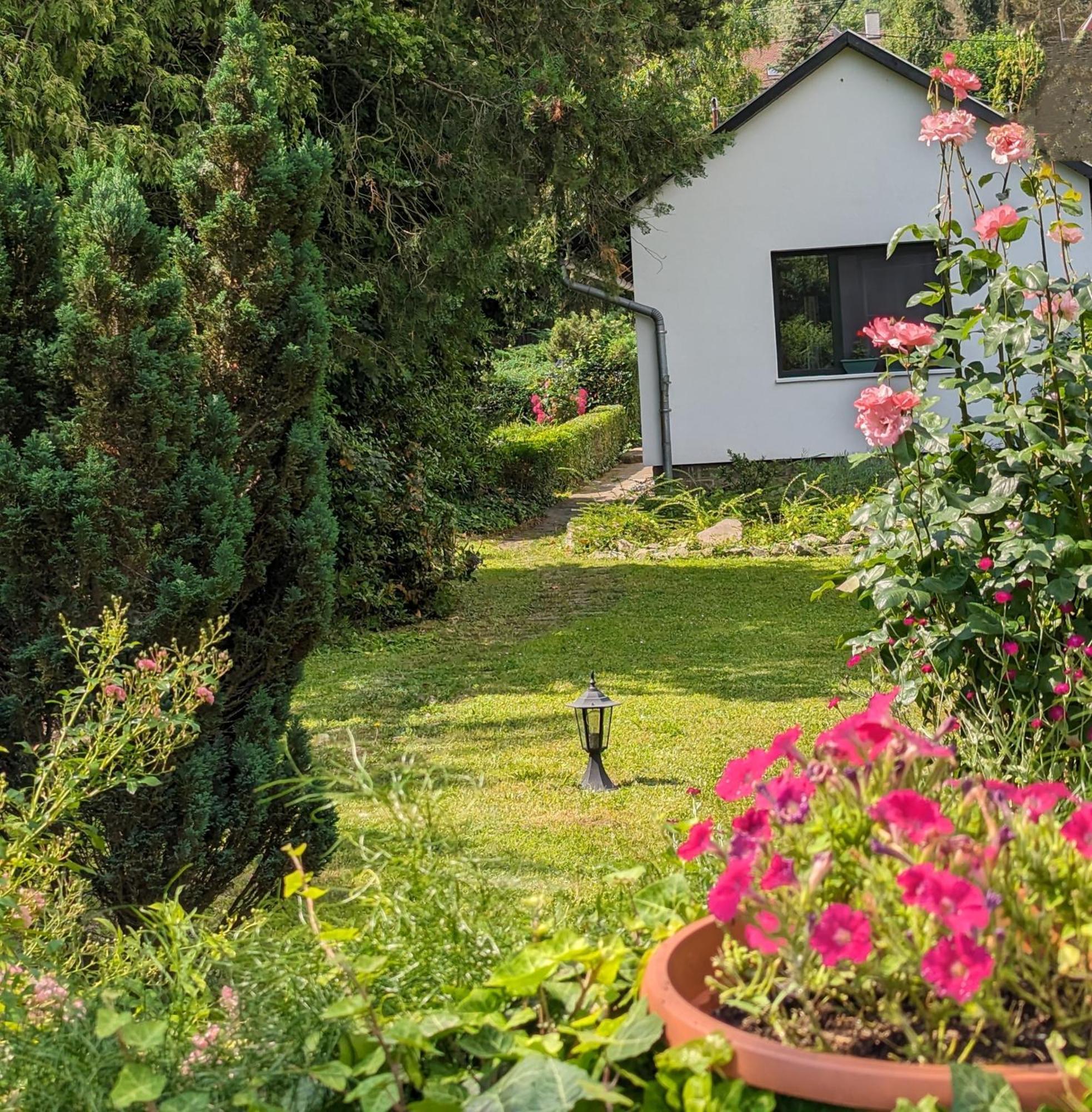 Palkovics Vendeghaz Dunabogdány Esterno foto